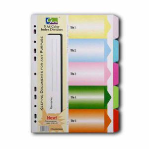 Chia file bìa 5 màu dày PGRAND
